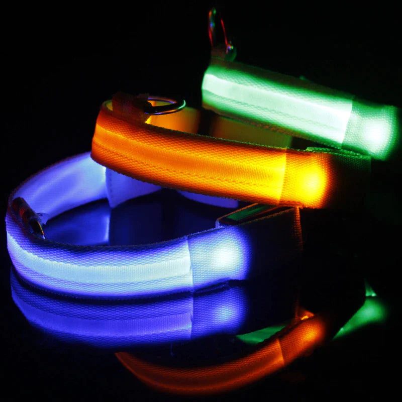 Protect your furry friend with this LED collar ✨