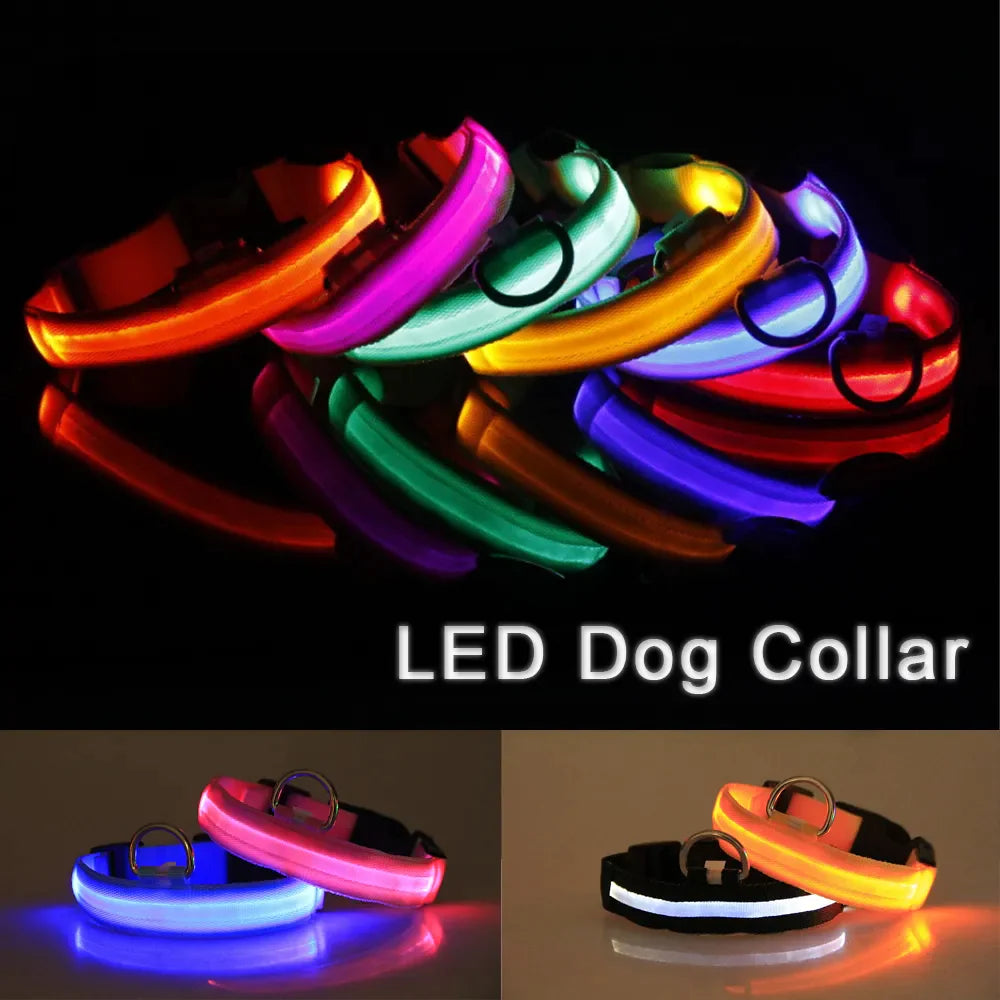 Protect your furry friend with this LED collar ✨