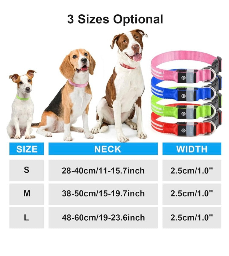 Protect your furry friend with this LED collar ✨