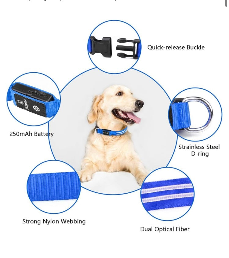Protect your furry friend with this LED collar ✨