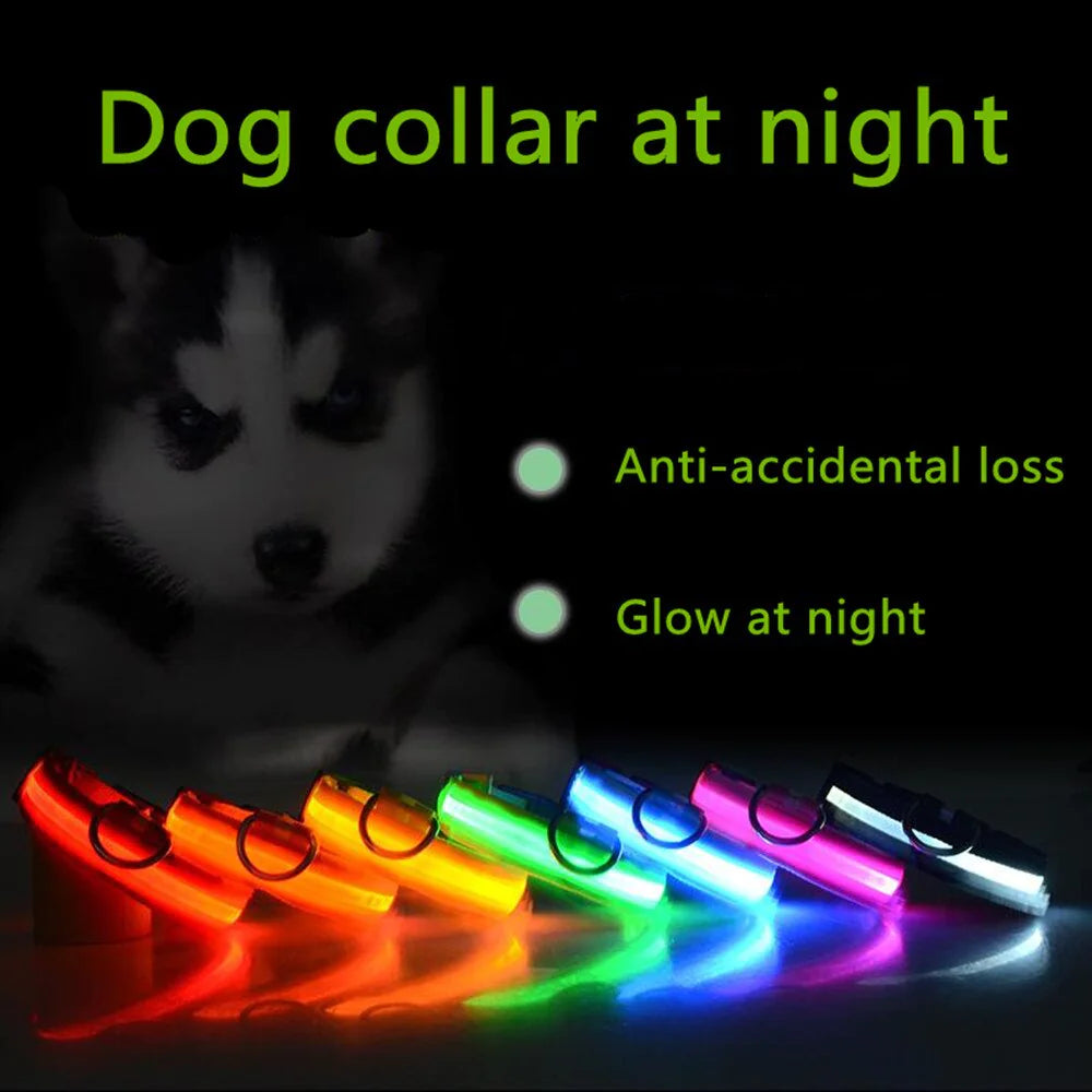 Protect your furry friend with this LED collar ✨
