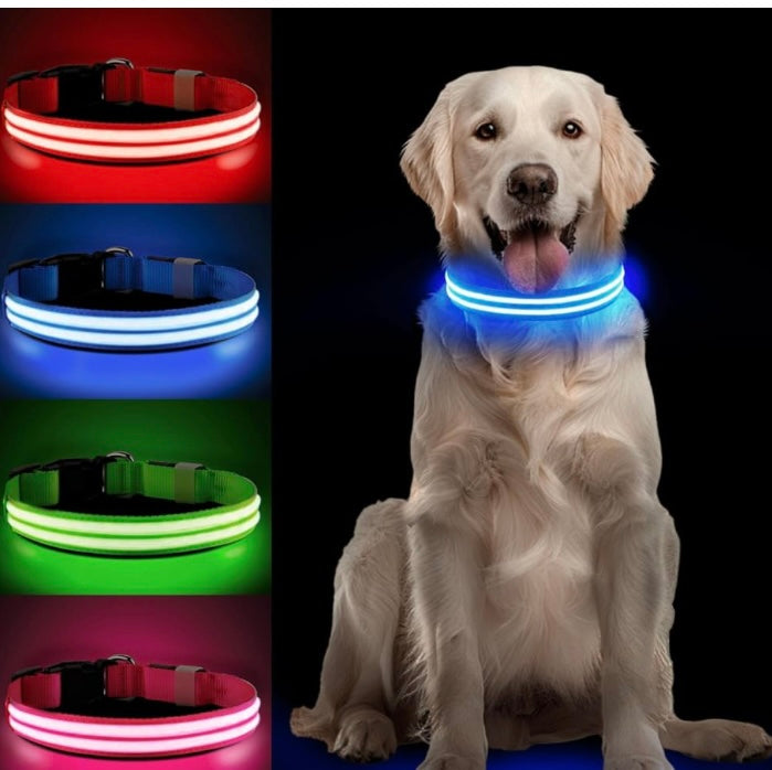 Protect your furry friend with this LED collar ✨