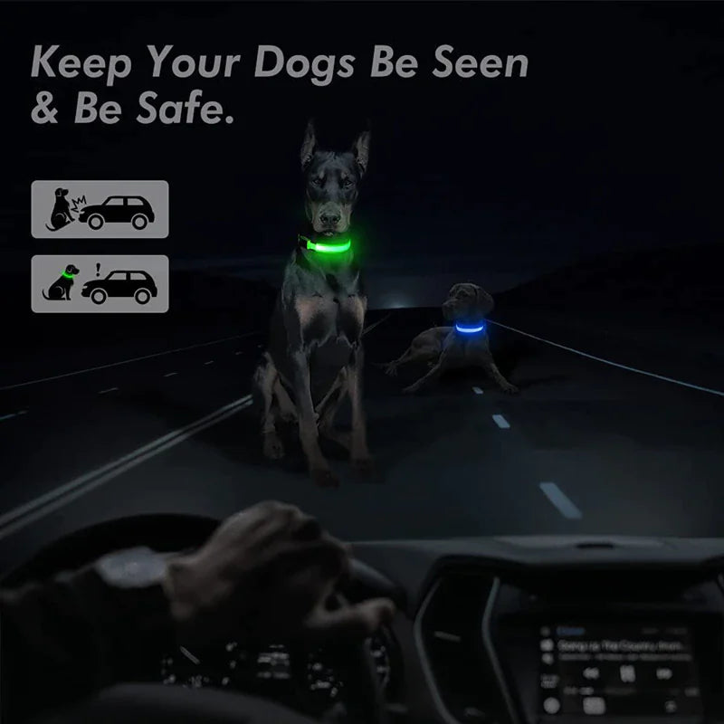 Protect your furry friend with this LED collar ✨