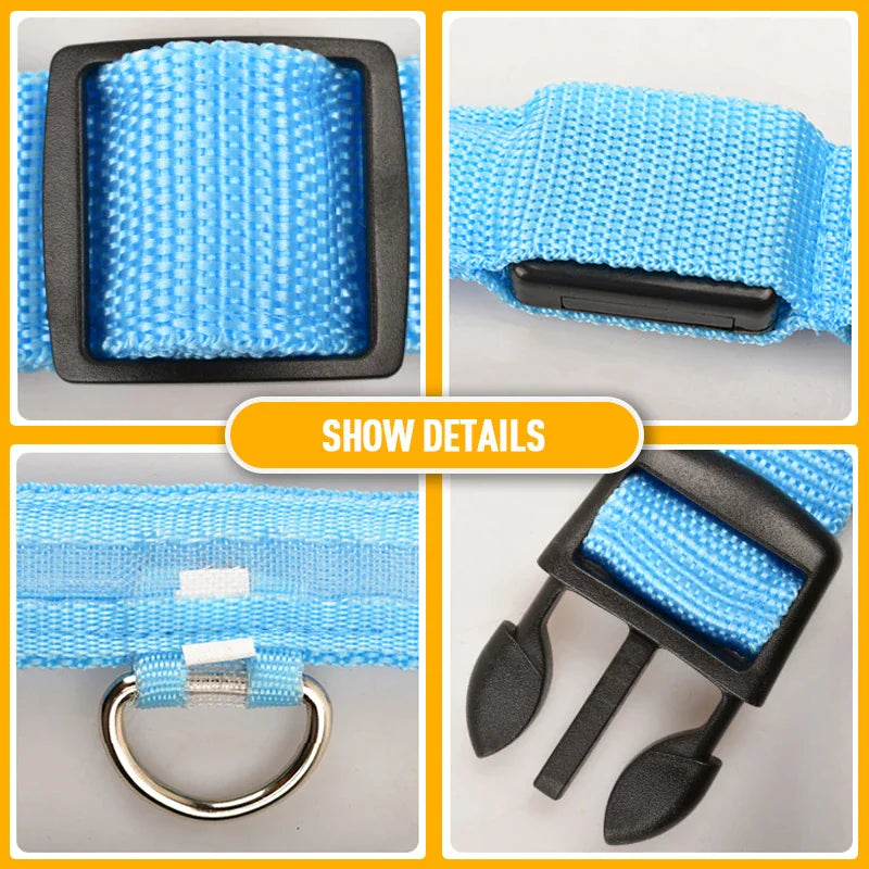 Protect your furry friend with this LED collar ✨