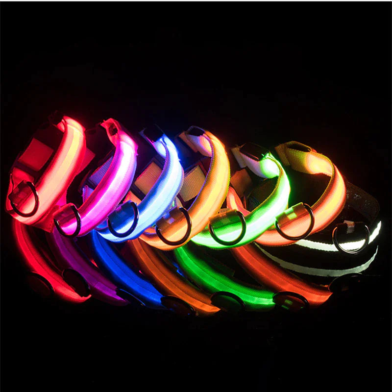 Protect your furry friend with this LED collar ✨