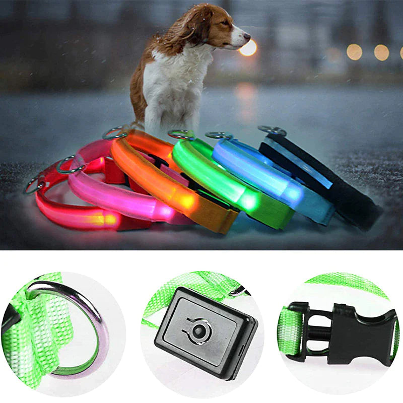 Protect your furry friend with this LED collar ✨