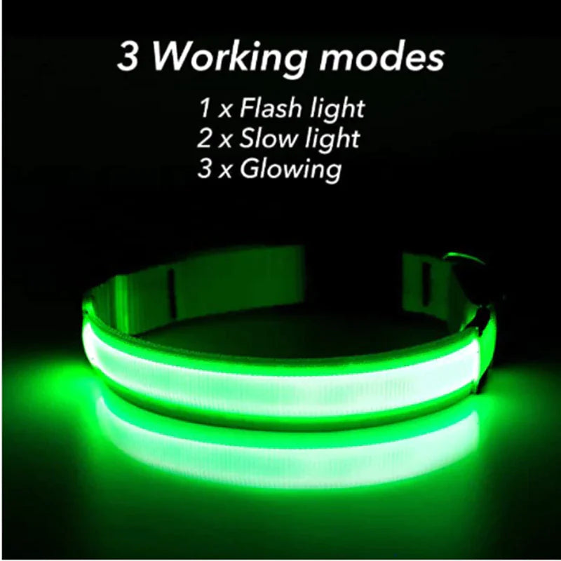 Protect your furry friend with this LED collar ✨