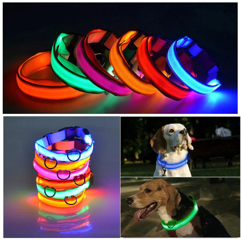 Protect your furry friend with this LED collar ✨