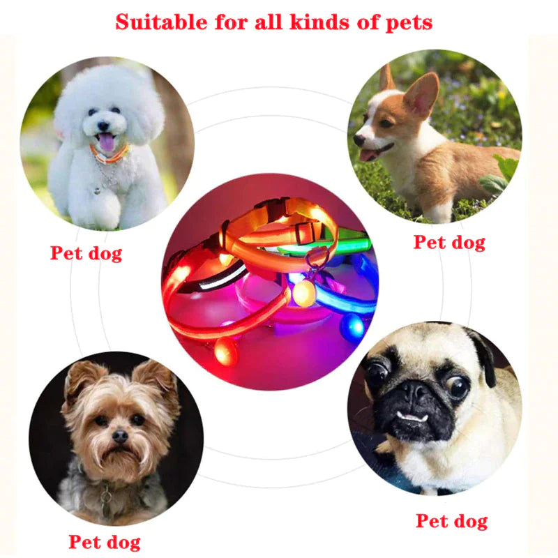 Protect your furry friend with this LED collar ✨