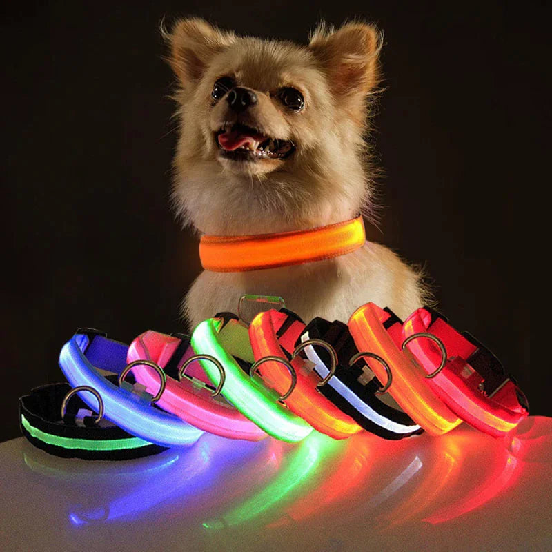 Protect your furry friend with this LED collar ✨